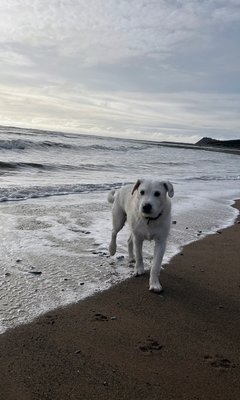 Benny J