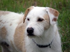 Benny C