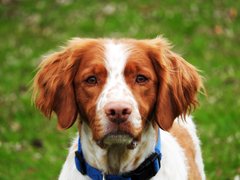 Parker obit 800 pixH